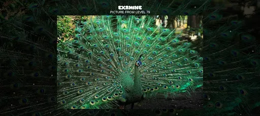 Скриншот 5 — XPicture LF