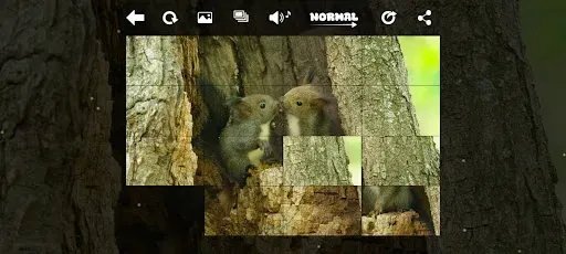 Скриншот 8 — XPicture LF