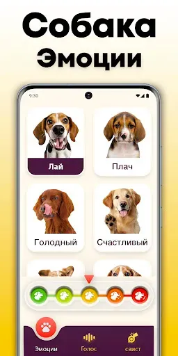 Скриншот 3 — Переводчик для собак : собачий
