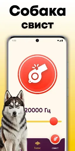Скриншот 4 — Переводчик для собак : собачий