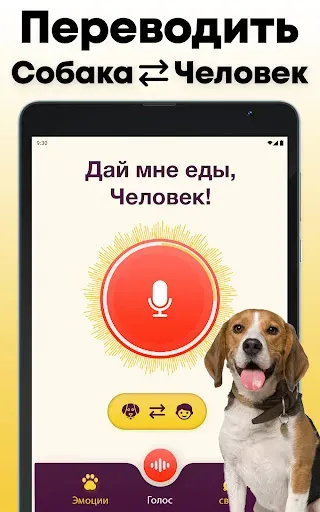 Скриншот 6 — Переводчик для собак : собачий
