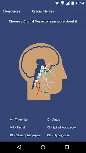 Скриншот 5 — Dysphagia Therapy