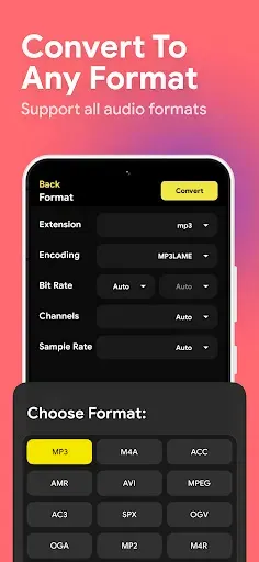 Скриншот 4 — Audio Converter - MP4 to MP3