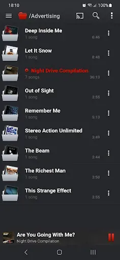 Скриншот 6 — PlayerPro Music Player