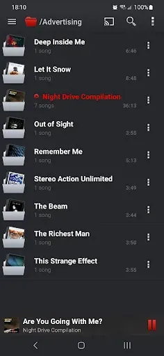 Скриншот 6 — PlayerPro Music Player