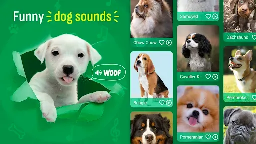 Скриншот 8 — Dog Sound Ringtones Wallpapers