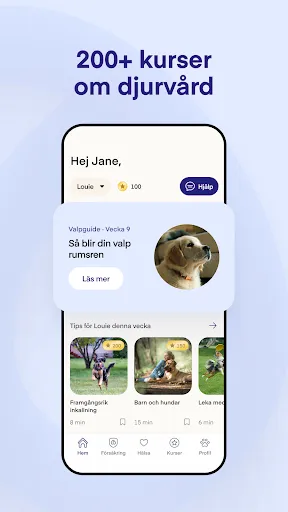 Скриншот 2 — Lassie
