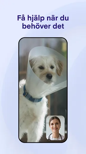 Скриншот 7 — Lassie
