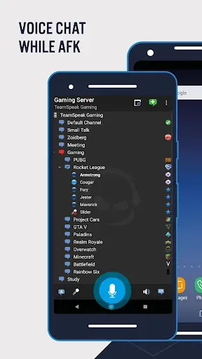 Скриншот 1 — TeamSpeak 3 - Voice Chat