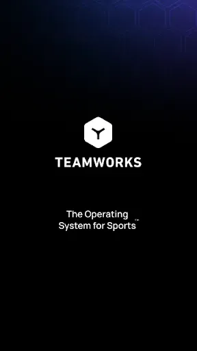 Скриншот 5 — Teamworks