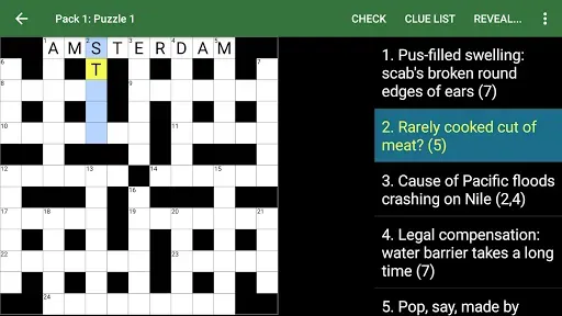 Скриншот 6 — Cryptic Crossword