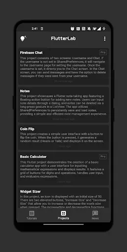 Скриншот 6 — FlutterLab