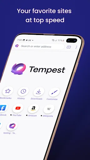 Скриншот 2 — Tempest Secure Web Browser
