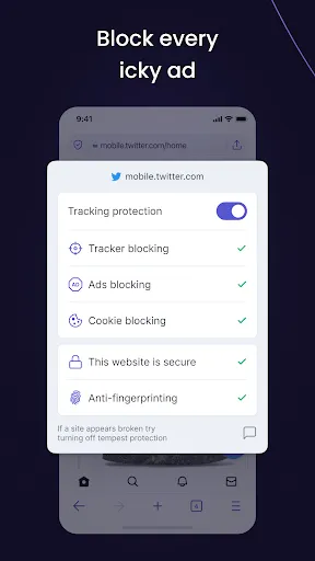 Скриншот 4 — Tempest Secure Web Browser