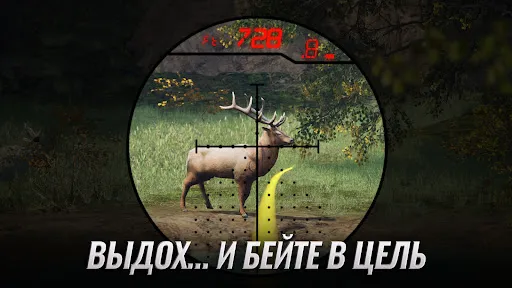 Скриншот 5 — Hunting Clash: охота симулятор