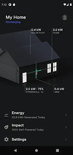 Скриншот 4 — Tesla