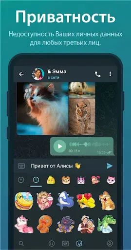 Скриншот 6 — TG Connect