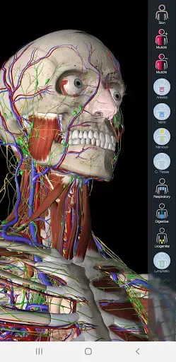 Скриншот 1 — Essential Anatomy 5