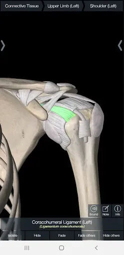 Скриншот 2 — Essential Anatomy 5