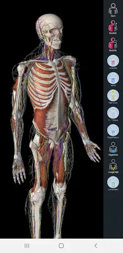 Скриншот 7 — Essential Anatomy 5