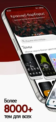 Скриншот 1 — Мульти темы