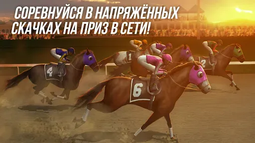 Скриншот 2 — Photo Finish Horse Racing