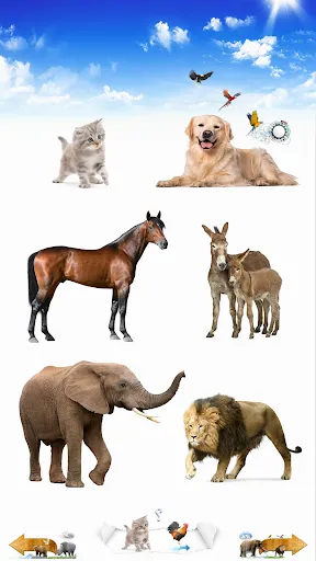 Скриншот 1 — Animal Sounds