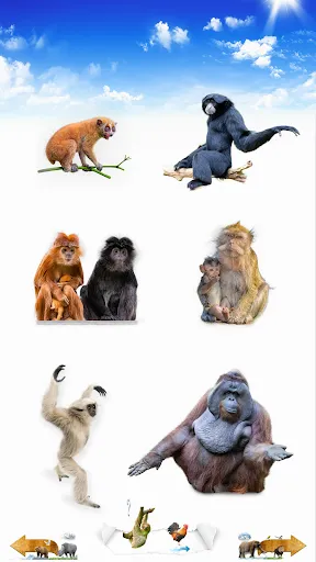 Скриншот 2 — Animal Sounds