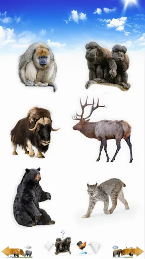 Скриншот 3 — Animal Sounds