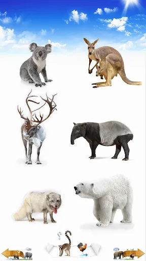 Скриншот 4 — Animal Sounds