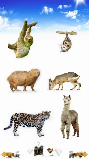 Скриншот 5 — Animal Sounds
