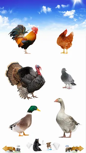 Скриншот 7 — Animal Sounds
