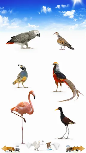 Скриншот 8 — Animal Sounds