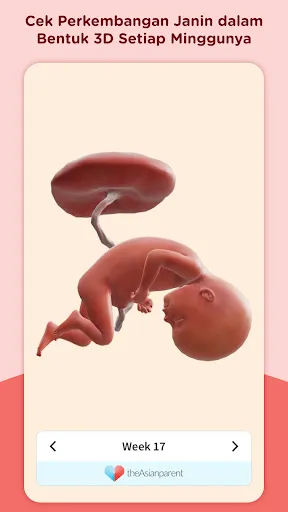 Скриншот 2 — Asianparent: Kehamilan & Bayi