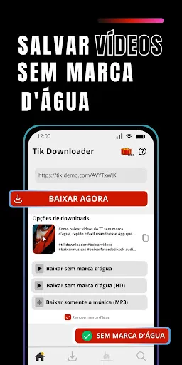 Скриншот 1 — SnapTik: Baixar Videos do TT