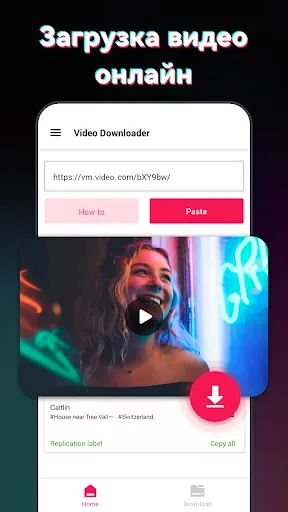 Скриншот 1 — Загрузчик видео для TT