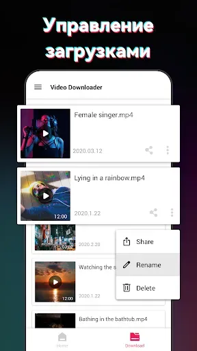 Скриншот 6 — Загрузчик видео для TT