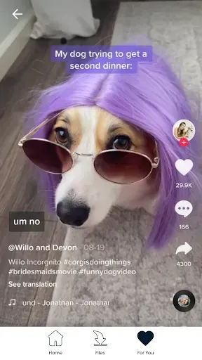 Скриншот 6 — Скачать Video Tiktok