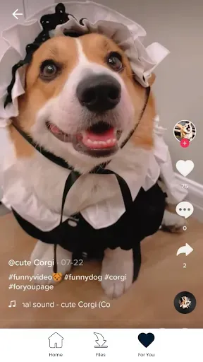 Скриншот 7 — Скачать Video Tiktok