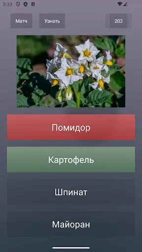 Скриншот 2 — Викторина на эрудицию