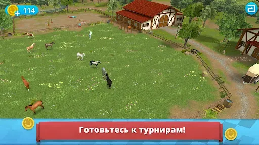 Скриншот 6 — Мир лошадей - Конкур