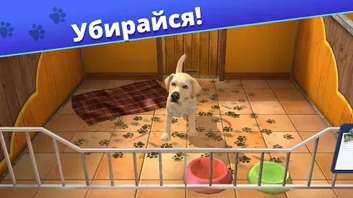 Скриншот 1 — Pet World: приют для животных