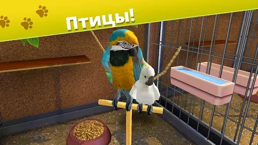 Скриншот 2 — Pet World: приют для животных