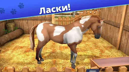 Скриншот 5 — Pet World: приют для животных