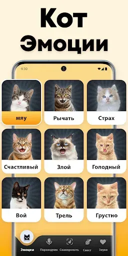 Скриншот 3 — Кошачий переводчик - кошка