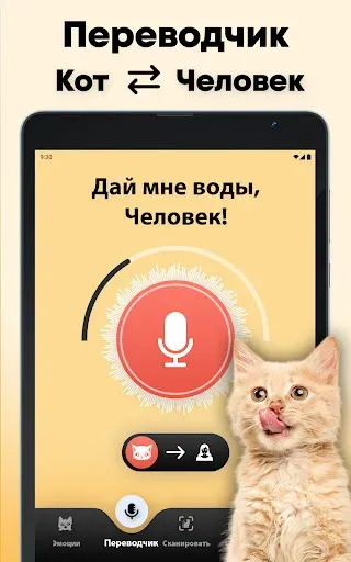 Скриншот 6 — Кошачий переводчик - кошка