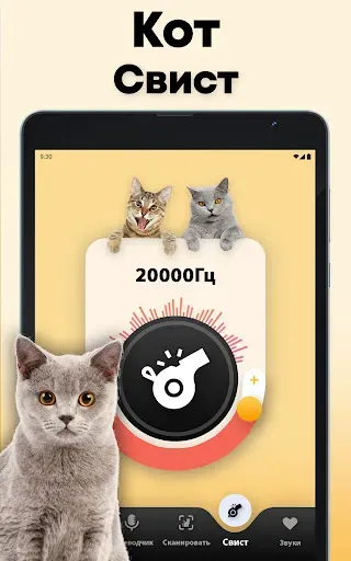 Скриншот 8 — Кошачий переводчик - кошка