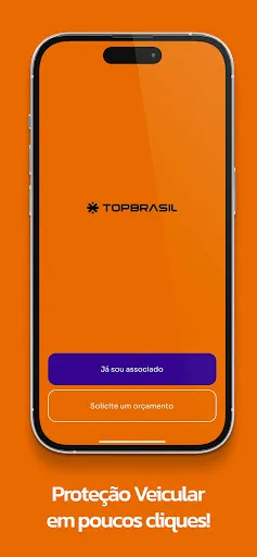 Скриншот 1 — TopBrasil