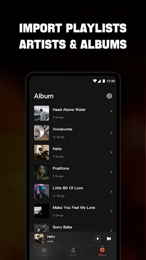 Скриншот 5 — Offline Music Player - Mixtube