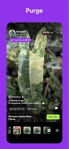 Скриншот 4 — Palmstreet: Buy & Sell LIVE